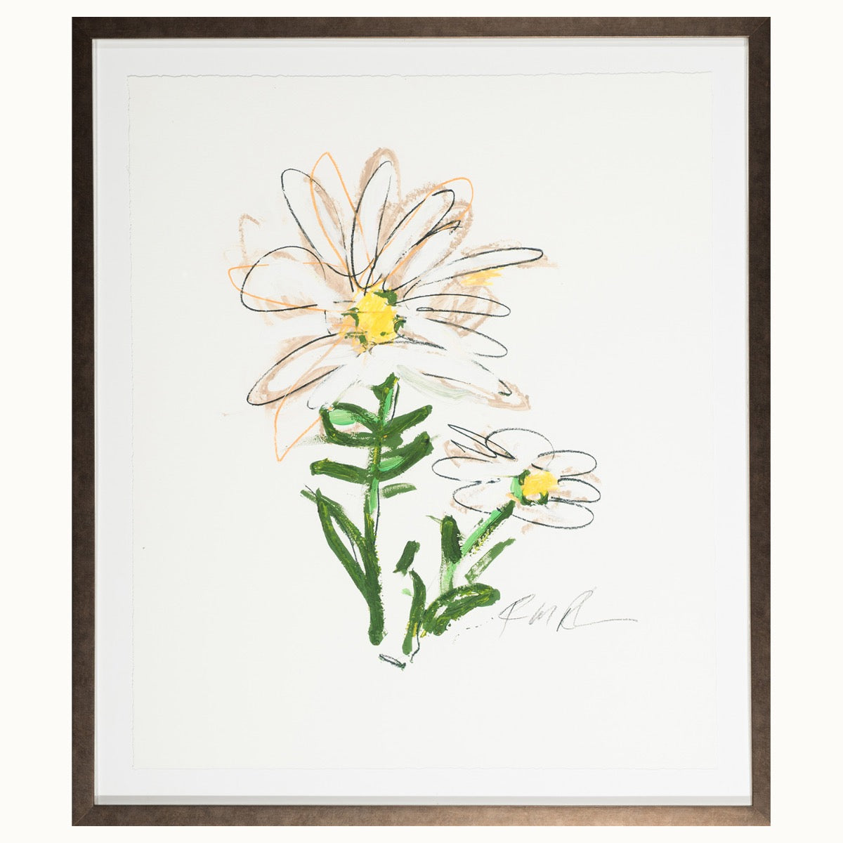 Image of "Yellow and White Daisy - Flower 5"