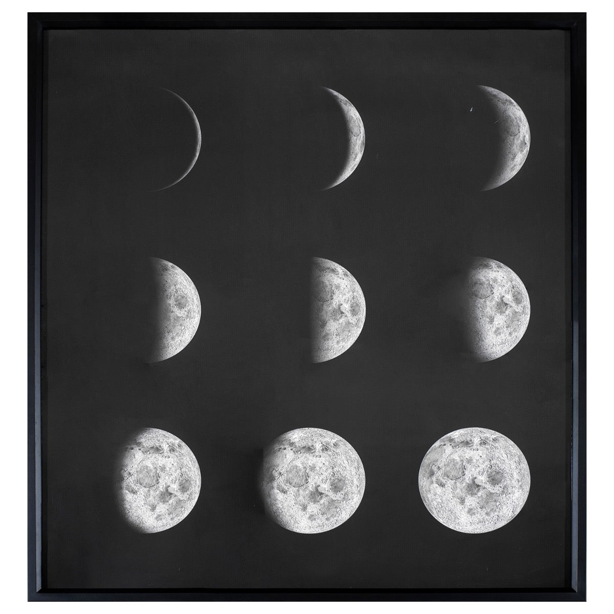 Image of "Phases of the Moon"