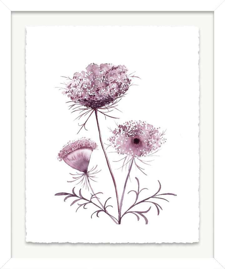 Image of "Queen Anne's Lace No. 19"