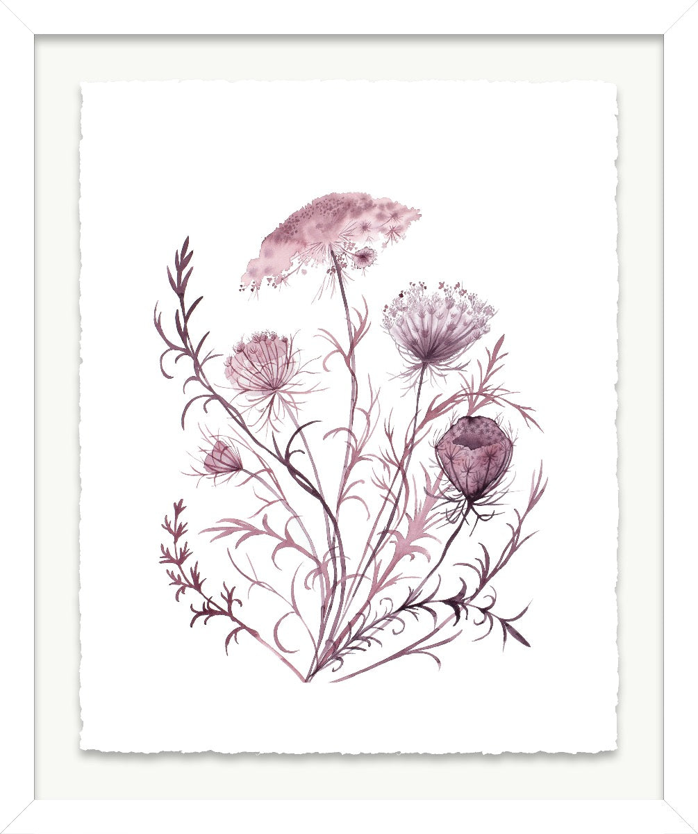 Queen Anne's Lace No. 21