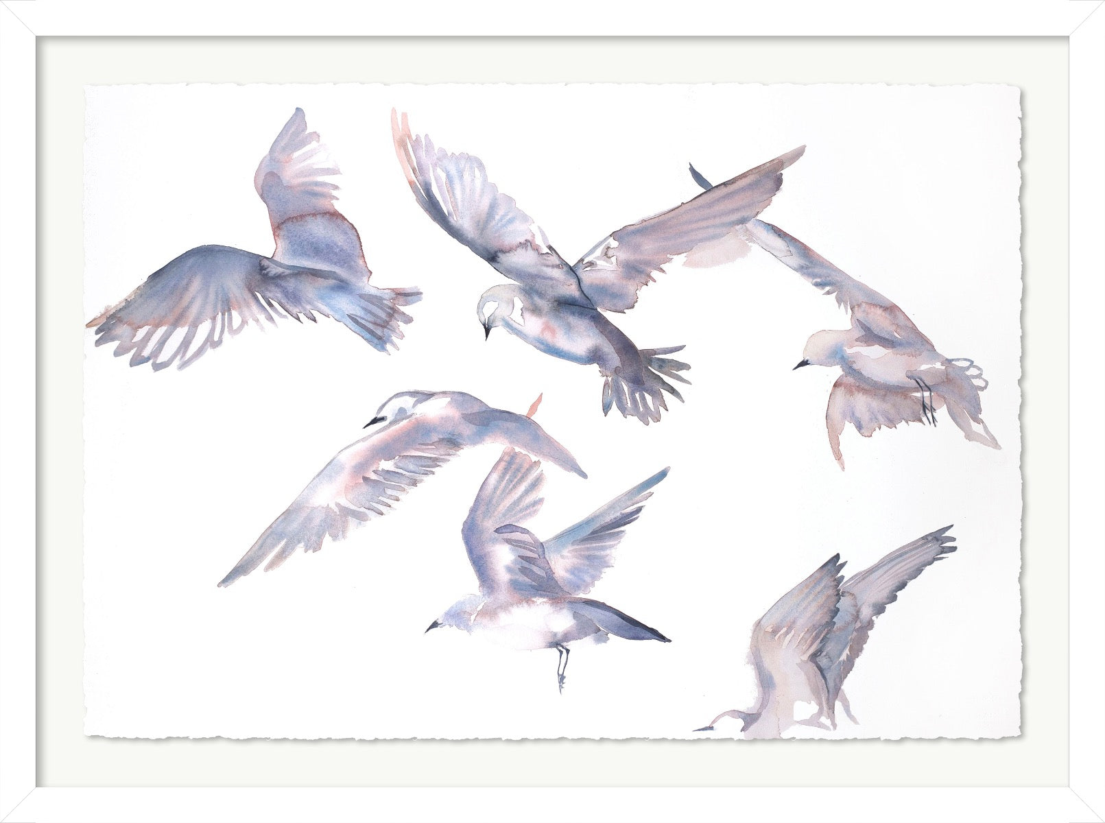 Seagulls in Flight