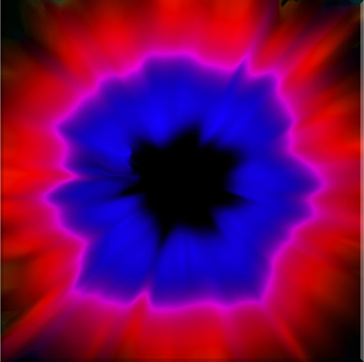 Image of "Flower 5"