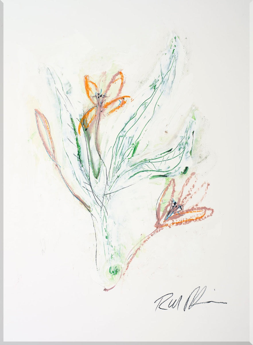 Image of "Crocus"