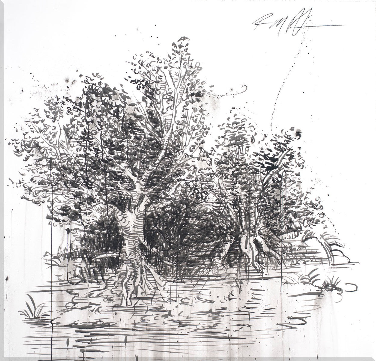 Image of "India Ink Tree"