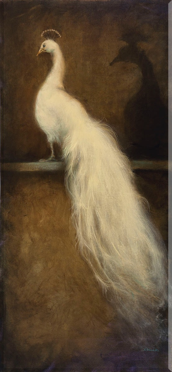 Image of "White Peacock 2"