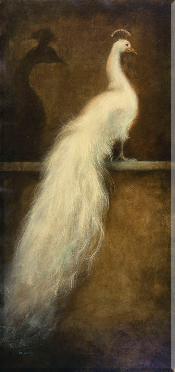 Image of "White Peacock 1"