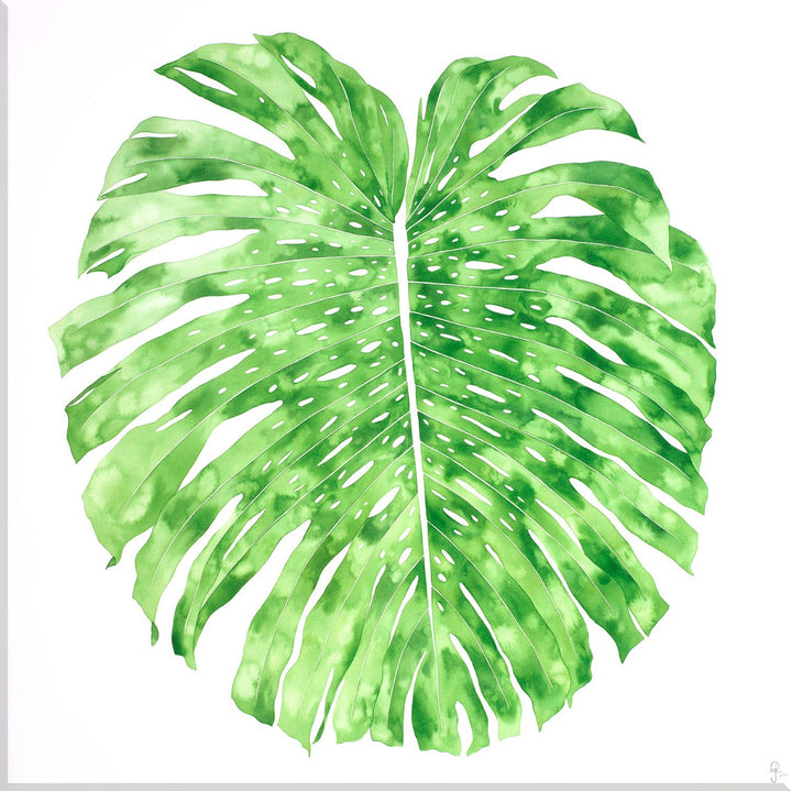 Image of "Monstera Verde"