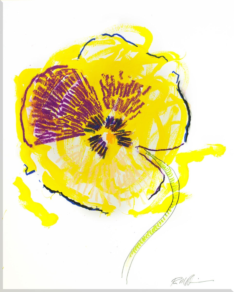 Image of "Pansy"