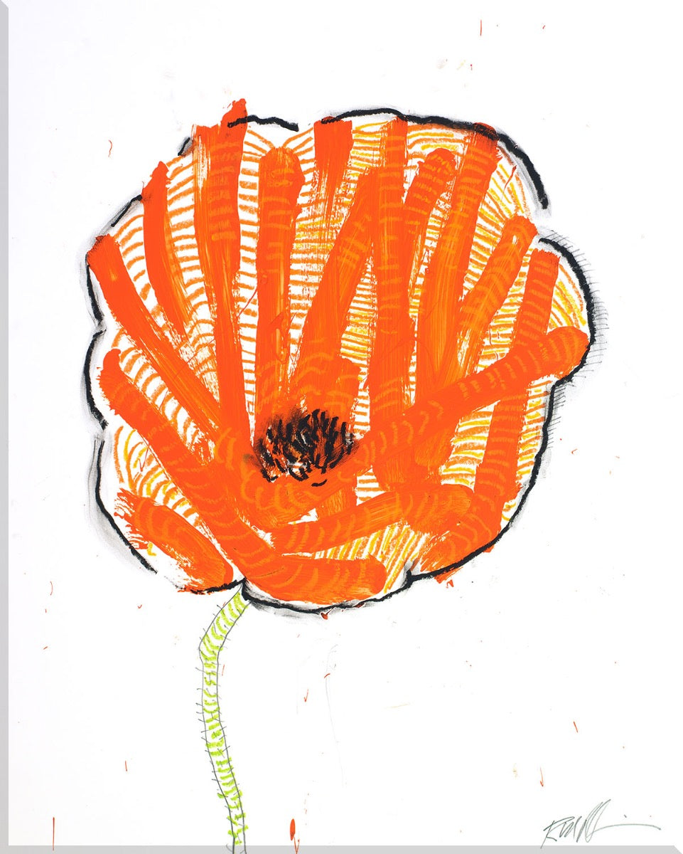 Image of "Poppy"