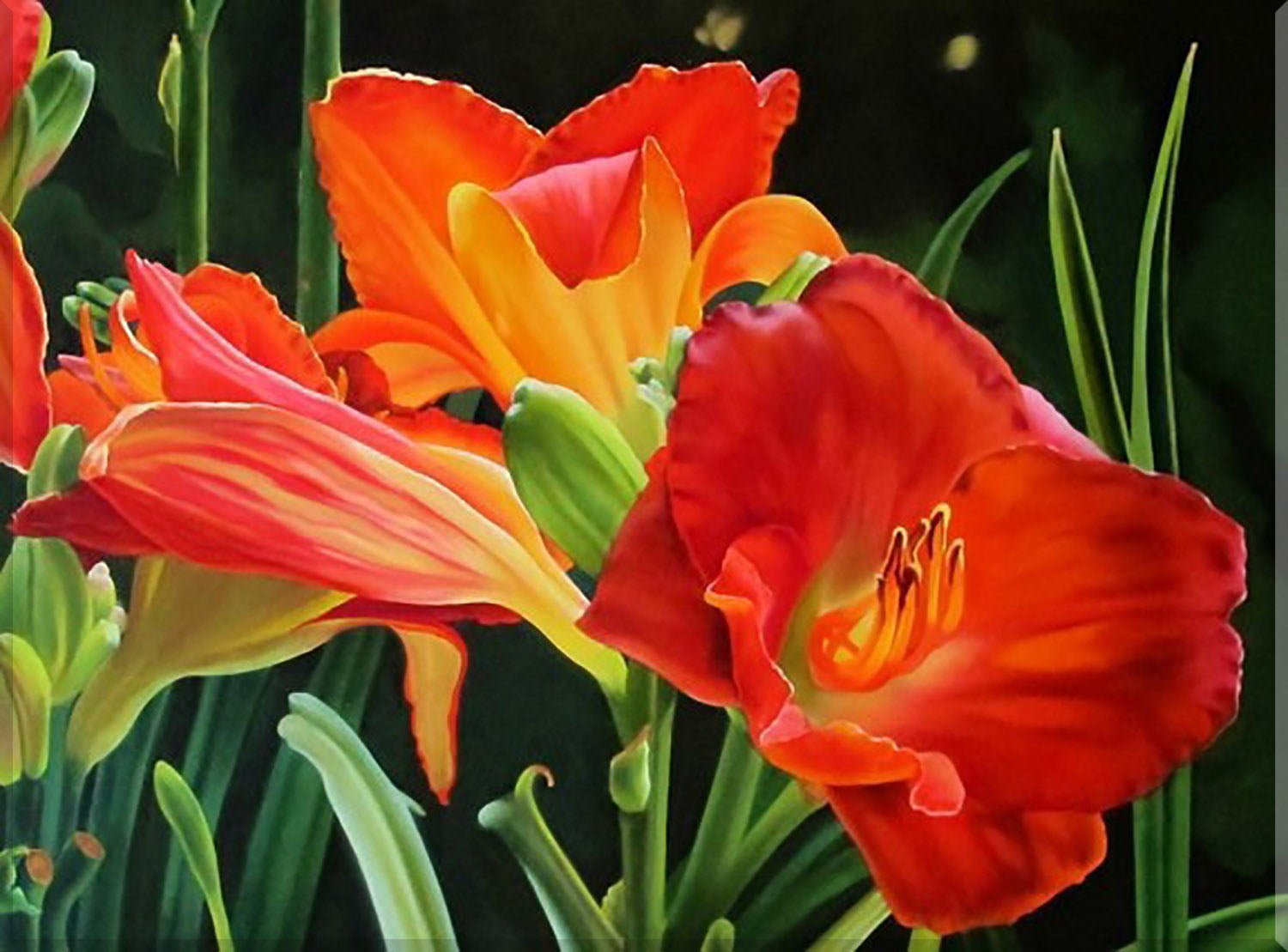 Image of "Vibrant Lily"