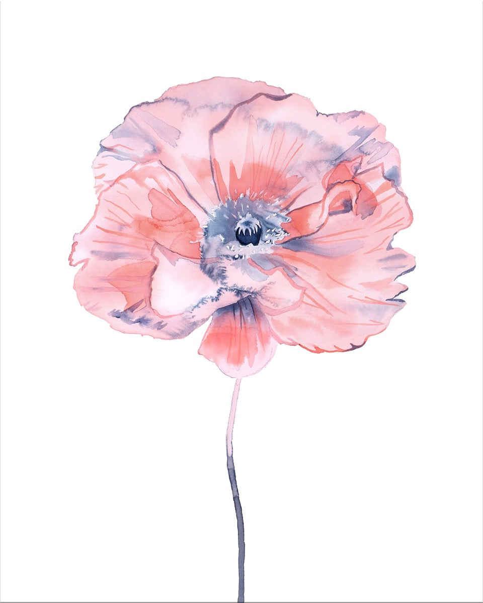 Image of "Poppy No. 7"