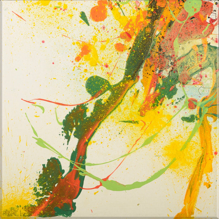 Image of "Splash of Colors 5"