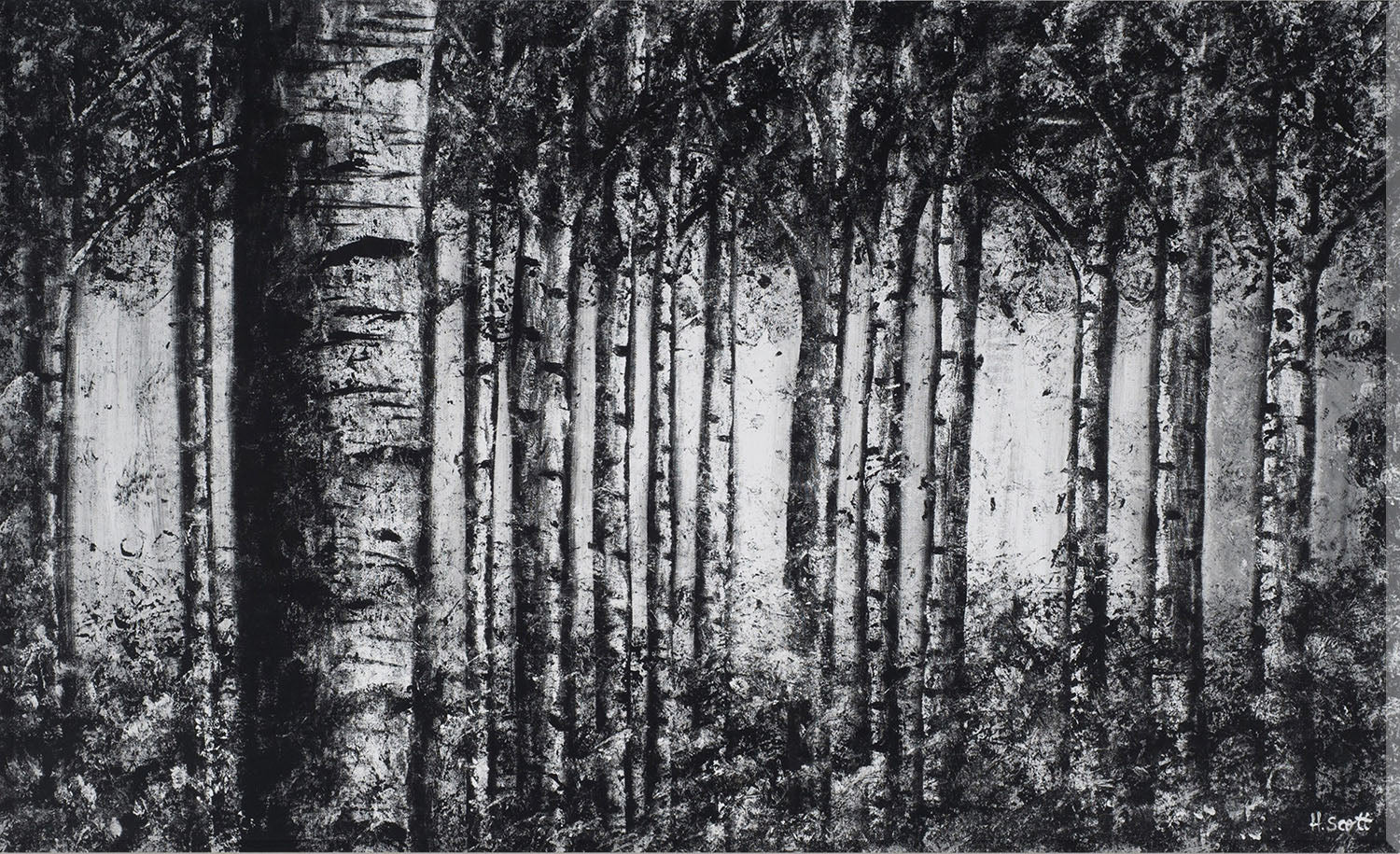 Image of "Birch Forest"