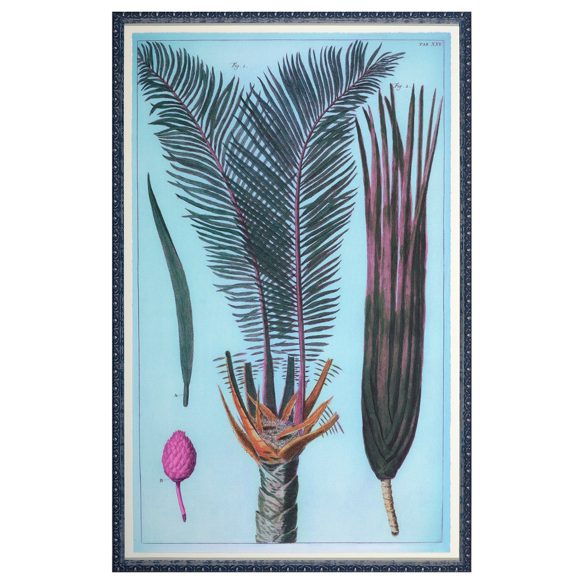 Image of "Palm Family"