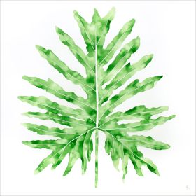 Image of "Selloum Verde"